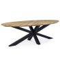 Gartentisch wetterfest Teak Aluminium oval Palmdale 240x110 cm carbon