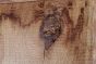 Detailbild Woodline