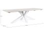 Gartentisch recycle Teak weiß 240x100 cm Aluminium Gestell Reynald